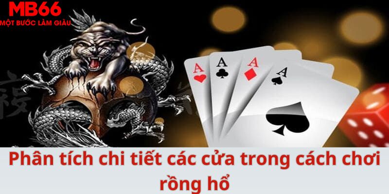 Phân tích chi tiết các cửa trong cách chơi rồng hổ